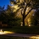 Landscape Lighting