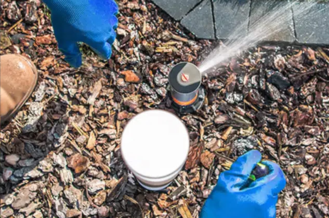 Landscape Maintenance