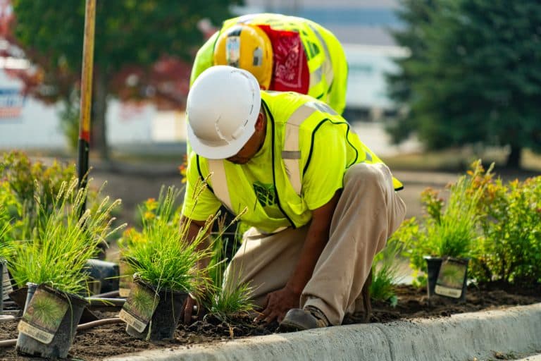 Landscape design and build installation and employee at work