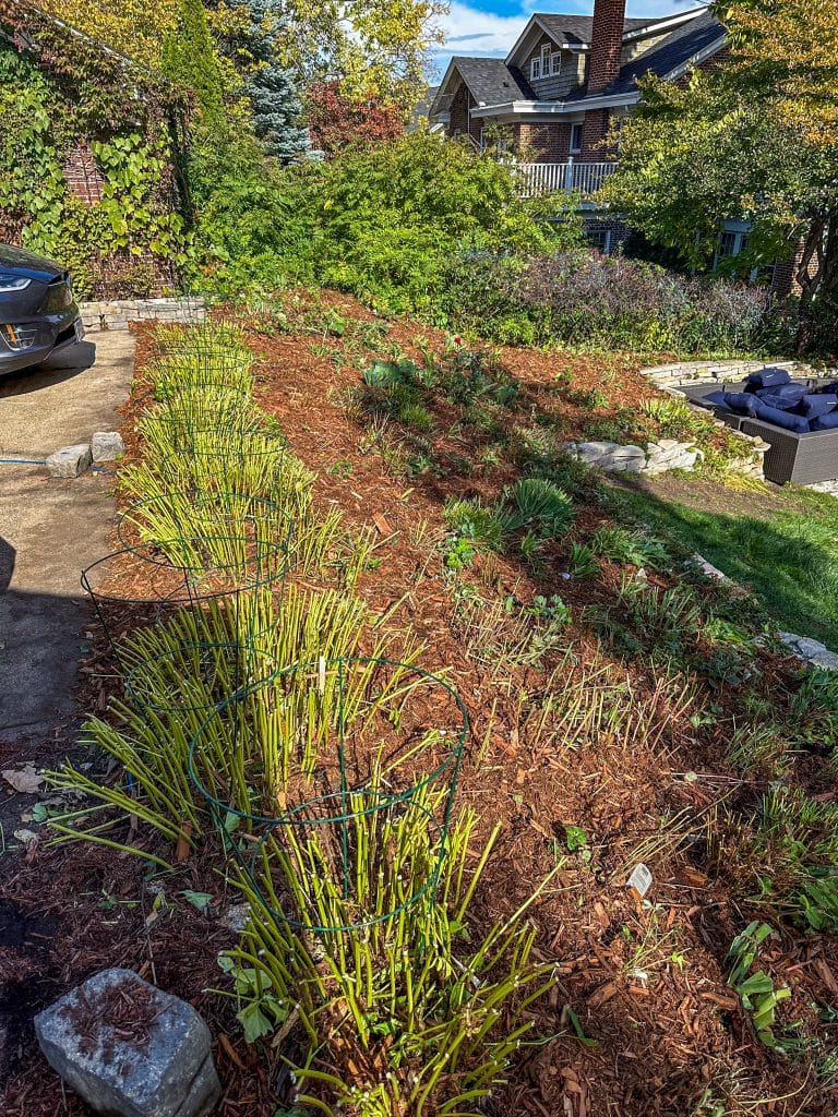 Outdoor Landscaping Services Inver Grove Heights, MN