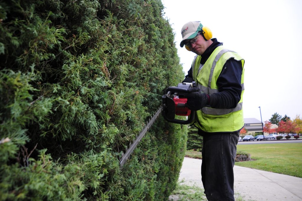 Outdoor Landscaping Services Inver Grove Heights, MN