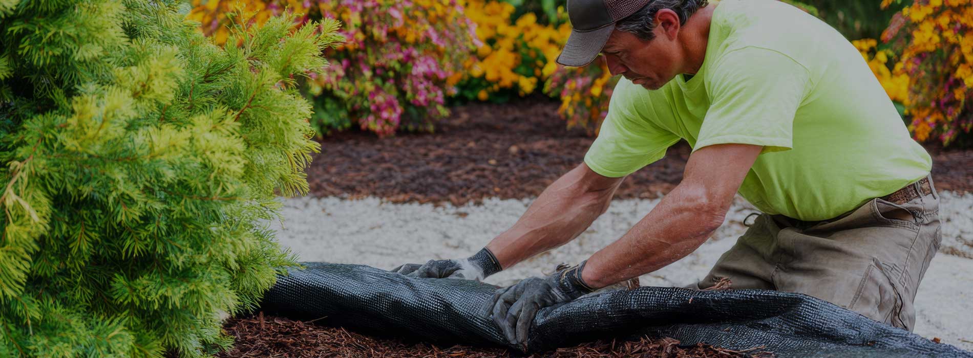 Residential landscaping maintenance services in Minnesota