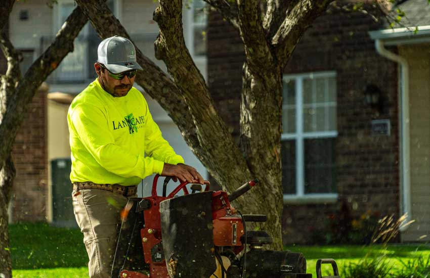 Professional lawn mowing and cutting service