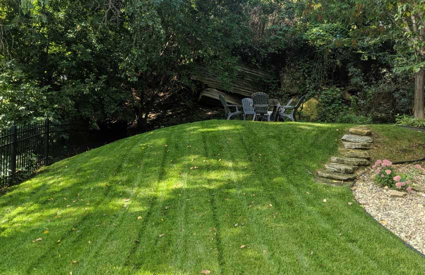 Residential lawn care and maintenance service