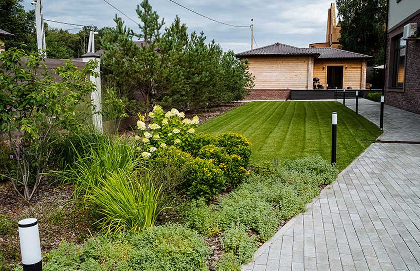 Plants and bushes maintained by landscaping professionals