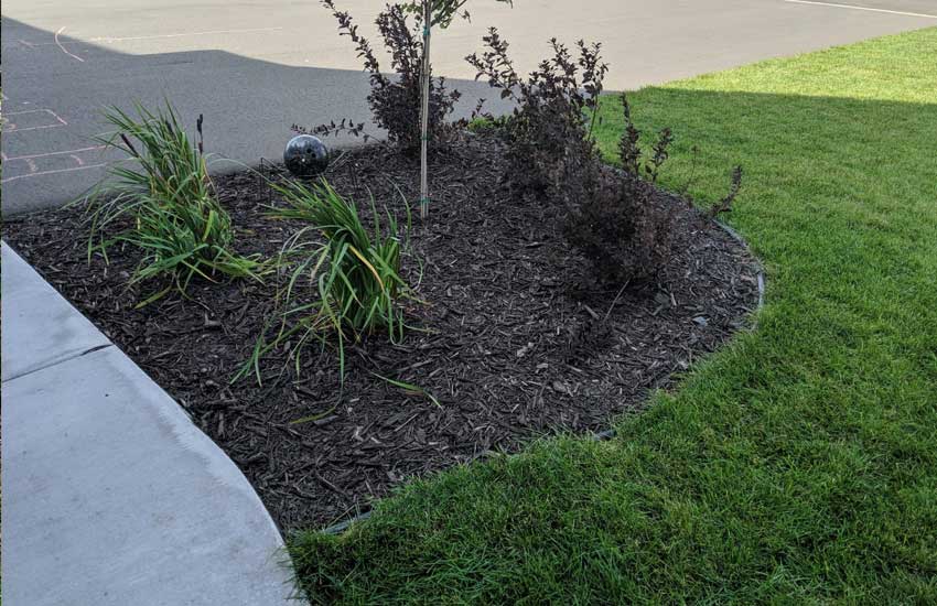 Plant health care and landscape bed maintenance