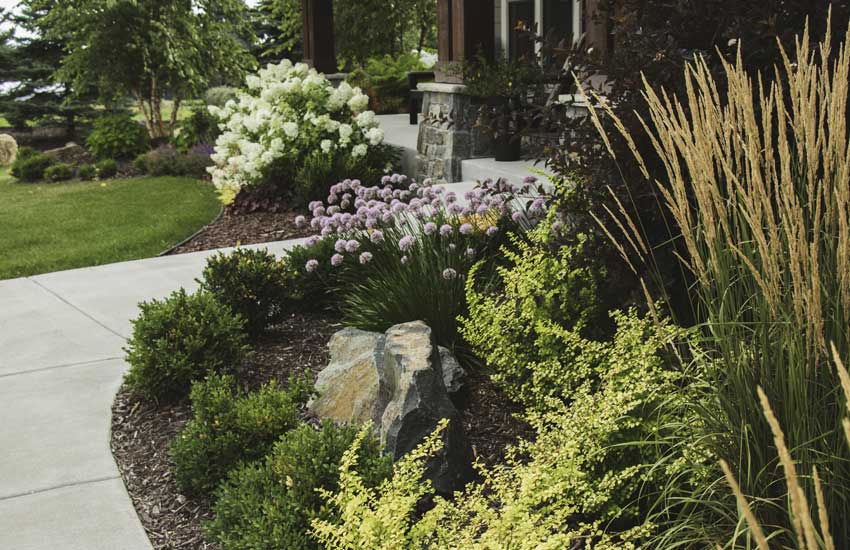 Maintained shrubs bushes and plants at Minnesota home