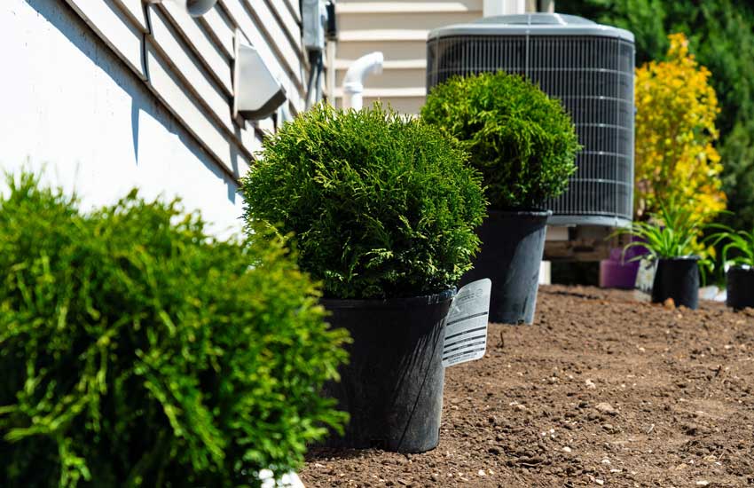 Shrub planting and outdoor landscaping maintenance