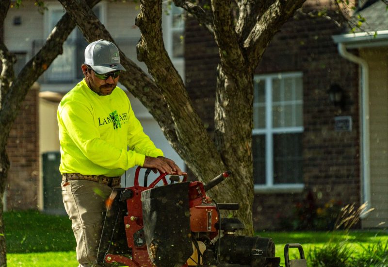 Residential Landscape Maintenance